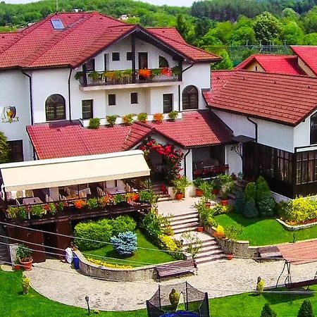 Casa Domneasca Ξενοδοχείο Curtea de Argeş Εξωτερικό φωτογραφία