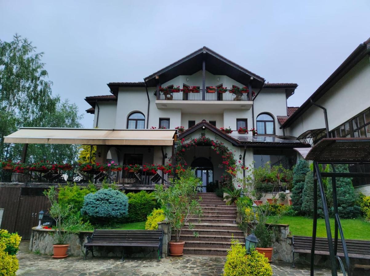 Casa Domneasca Ξενοδοχείο Curtea de Argeş Εξωτερικό φωτογραφία