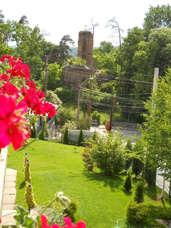 Casa Domneasca Ξενοδοχείο Curtea de Argeş Εξωτερικό φωτογραφία