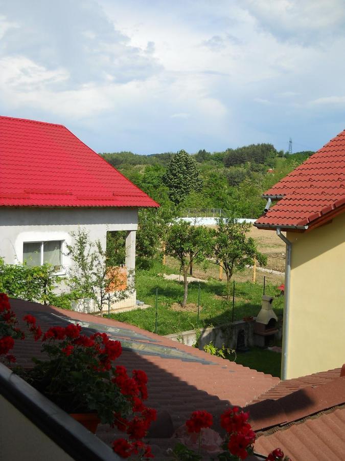 Casa Domneasca Ξενοδοχείο Curtea de Argeş Δωμάτιο φωτογραφία